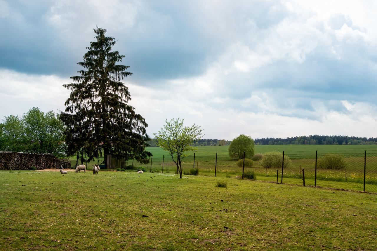 Penzion U kostela Mláka Esterno foto